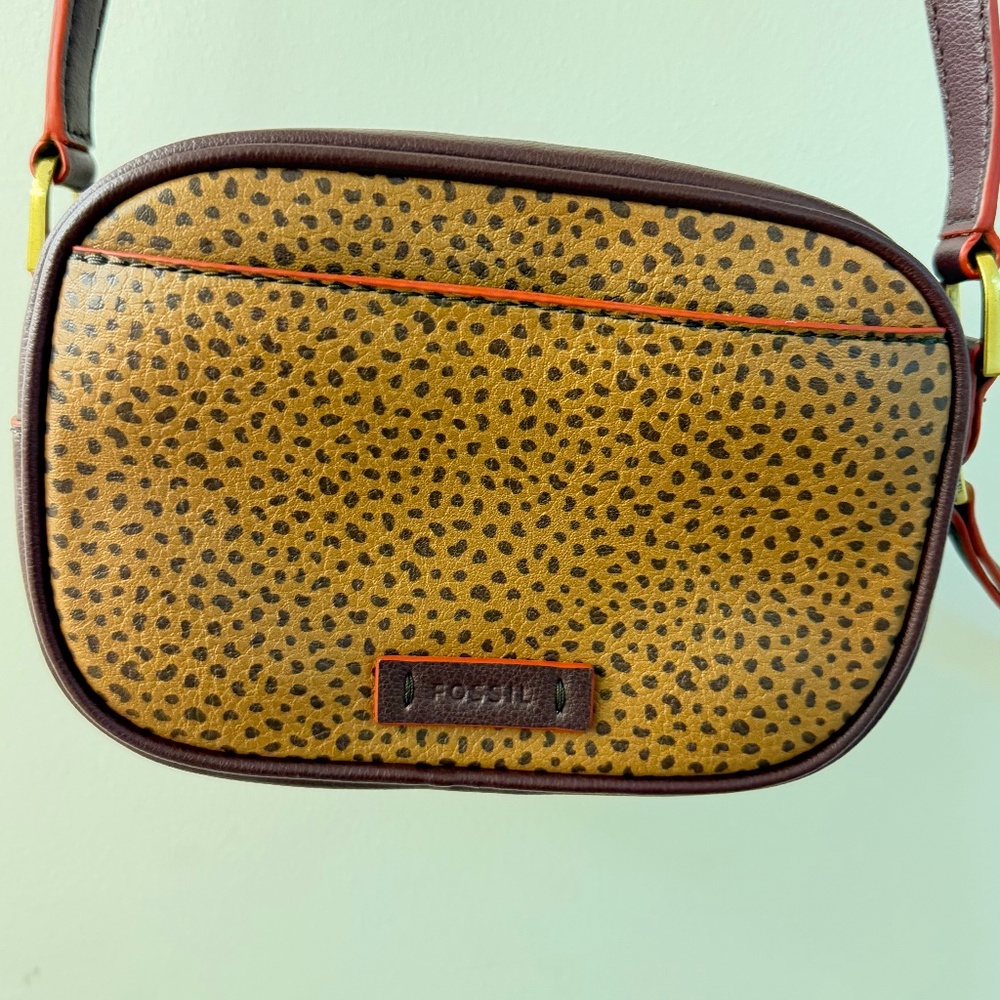 Fossil Crossbody Bag